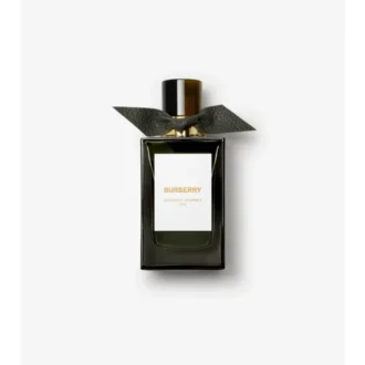 Parfémová voda Burberry Signatures Midnight Journey 100 ml Parfémová voda Burberry Signatures Midnight Journey 100 ml
